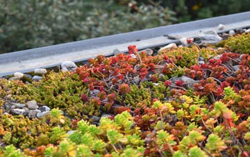 the cost of Anslow green roof installation