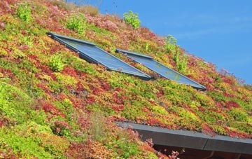 Anslow living roof systems
