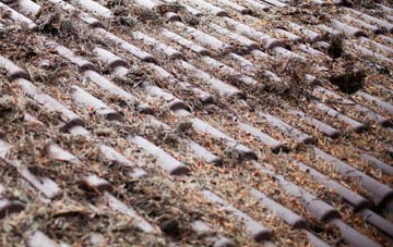 Anslow roof cleaning companies