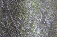 Anslow fibreglass roof work